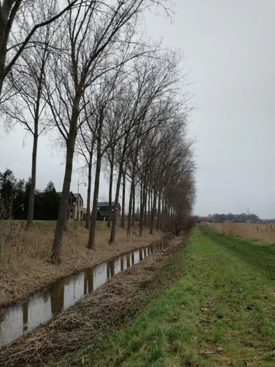 Plains of Zwijndrecht, Antwerp (Belgium)